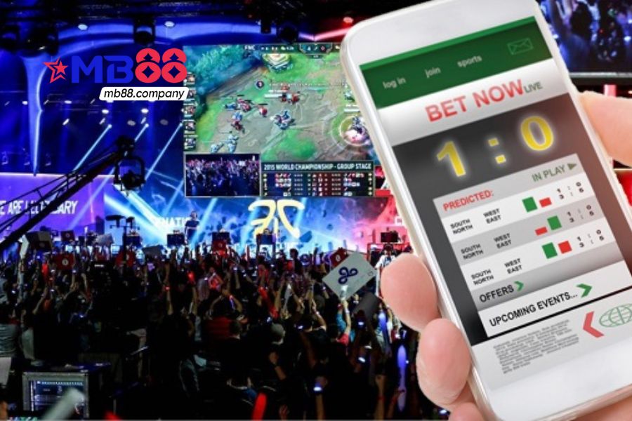 Cá cược Esport